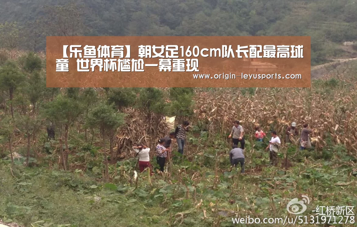 【乐鱼体育】朝女足160cm队长配最高球童 世界杯尴尬一幕重现(图1) 乐鱼官网